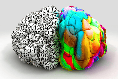 Left Brain vs Right Brain (Analytical vs Creativity)