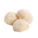 Organic Lion's Mane