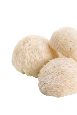 Organic Lion's Mane