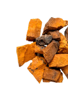 Organic Chaga